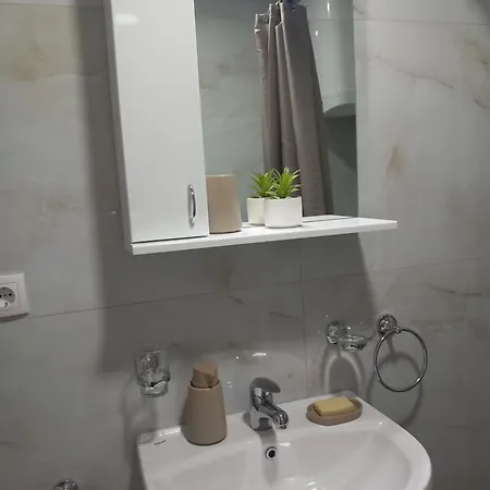 Apartment Pavlovic *