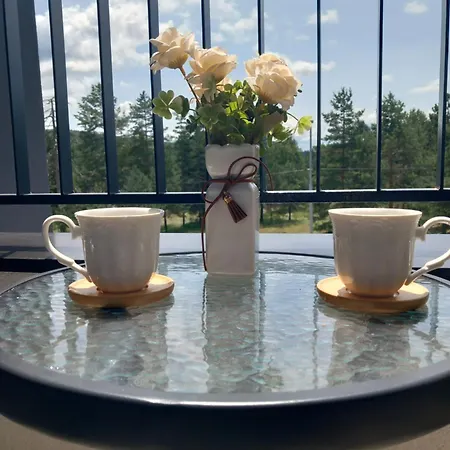 Pavlovic * Divčibare