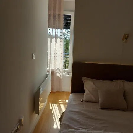 Apartment Pavlovic *